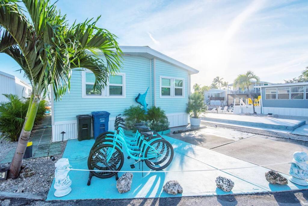 Oceania... Water Front Cottage Retreat ~ Cudjoe Key Kültér fotó